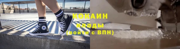 индика Балахна