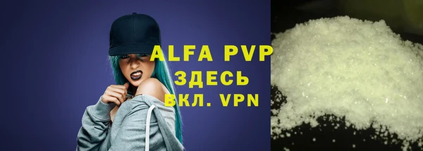 индика Балахна