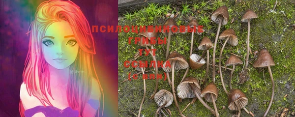 стафф Балабаново
