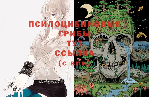 дмт Баксан