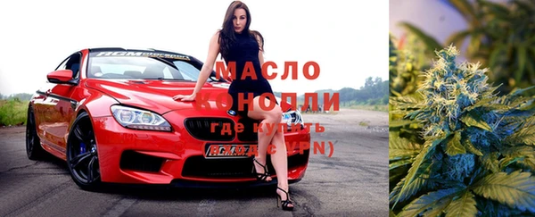 индика Балахна