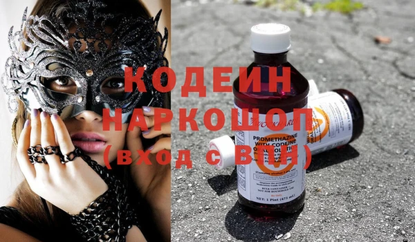 индика Балахна