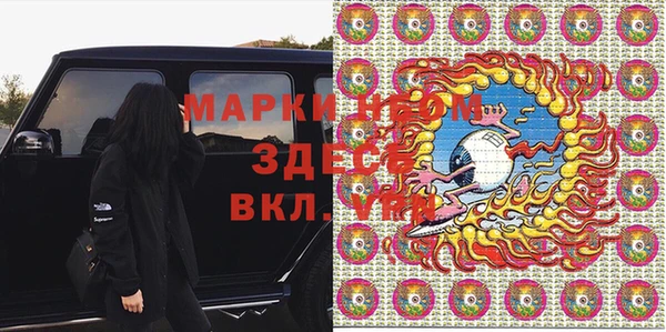индика Балахна