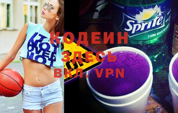 индика Балахна